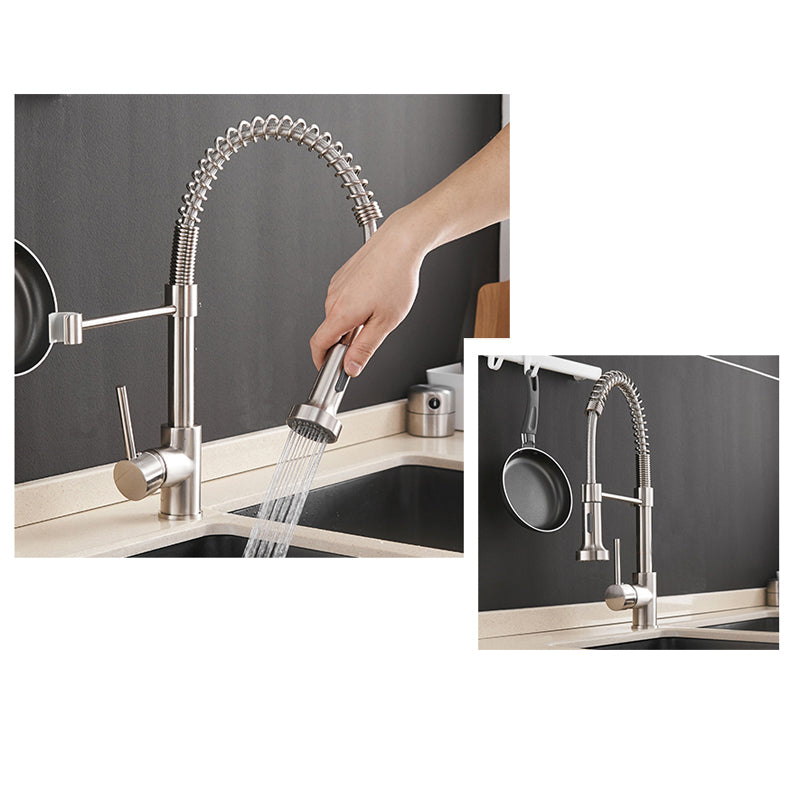 Kalodio Pull Down Kitchen Faucet