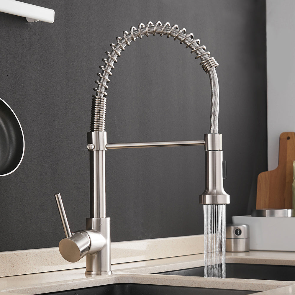 Kalodio Pull Down Kitchen Faucet