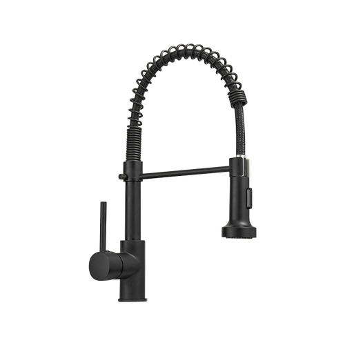 Kalodio Pull Down Kitchen Faucet