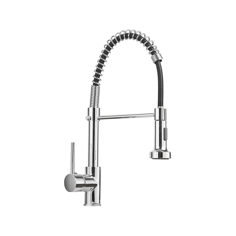 Kalodio Pull Down Kitchen Faucet