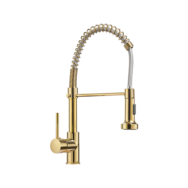 Kalodio Pull Down Kitchen Faucet