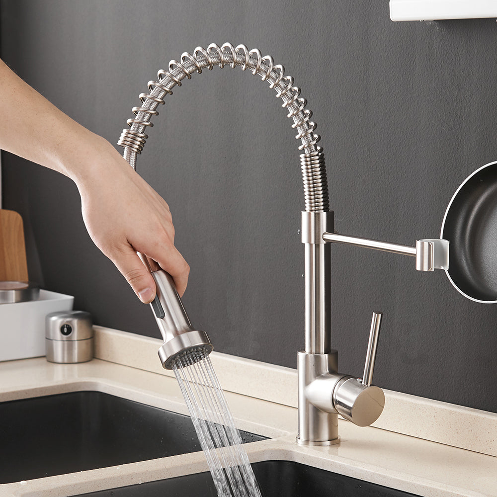 Kalodio Pull Down Kitchen Faucet