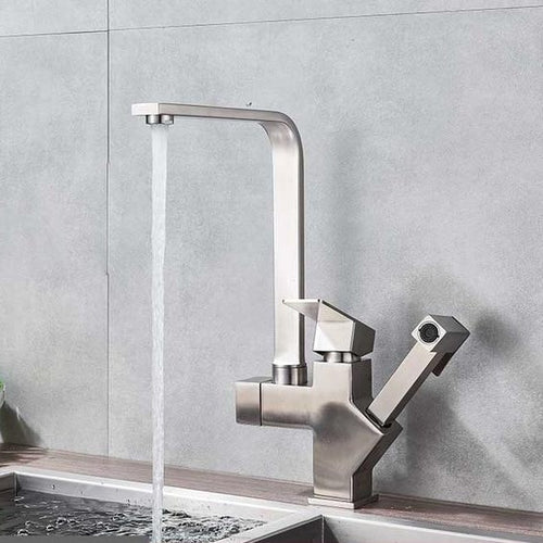 Poly Dual Function Kitchen Faucet