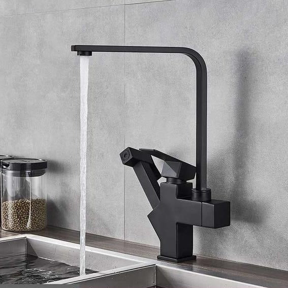 Poly Dual Function Kitchen Faucet