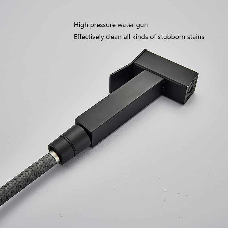 Poly Dual Function Kitchen Faucet