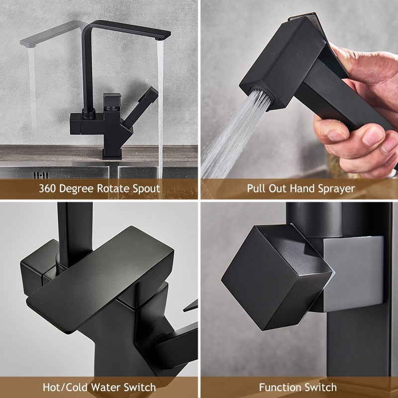 Poly Dual Function Kitchen Faucet