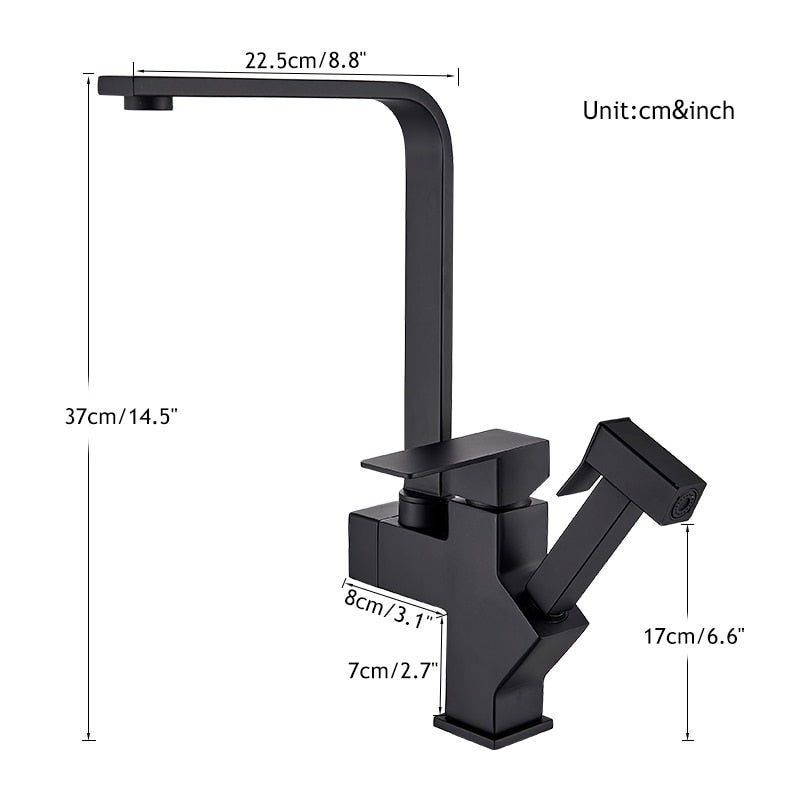 Poly Dual Function Kitchen Faucet