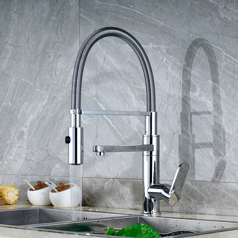 Kalamta Dual Function Kitchen Faucet